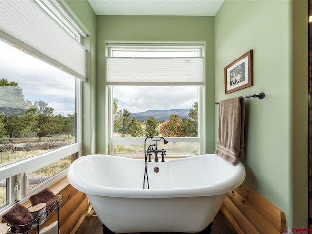 bathroom with a mountain view, a wealth of natural light, and a bathtub