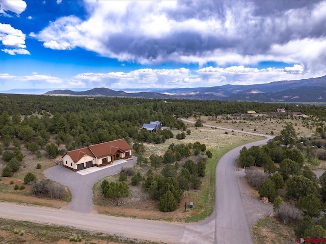 drone / aerial view featuring a mountain view