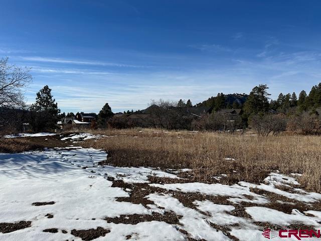 Listing photo 3 for 671 Edgemont Meadows Rd, Durango CO 81301