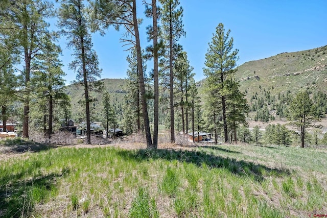 Listing photo 2 for 145 Bell Flower Ct, Durango CO 81301