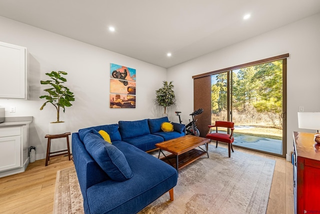 living room with light wood-type flooring