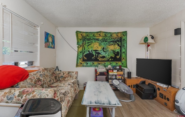 living room featuring a textured ceiling and light hardwood / wood-style floors