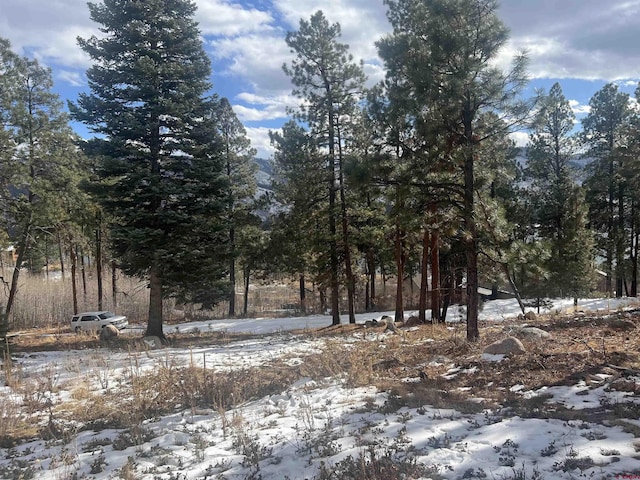 887 Lake View Dr, Vallecito Lake/Bayfield CO, 81122 land for sale