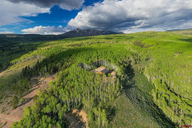 birds eye view of property featuring a mountain view