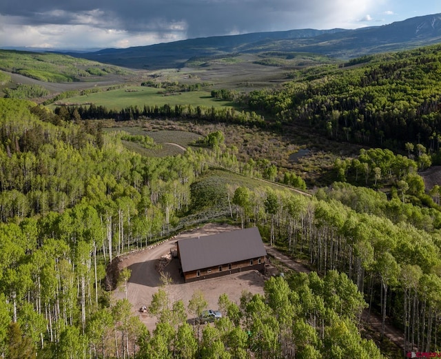 birds eye view of property with a mountain view