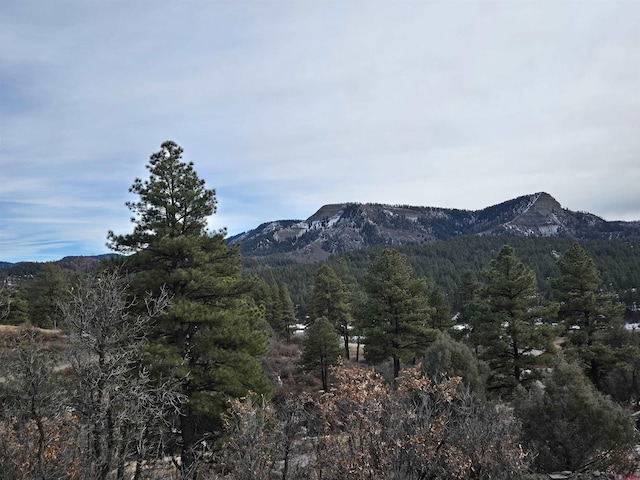 368 Squirrel, Pagosa Springs CO, 81147 land for sale