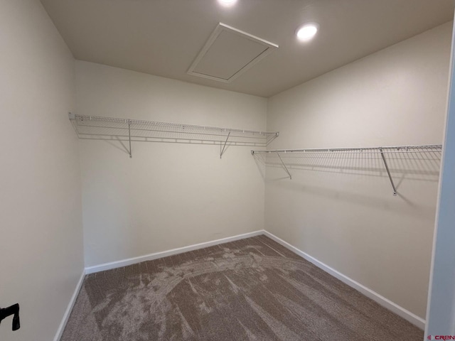 walk in closet with dark carpet