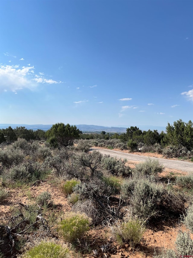 view of landscape