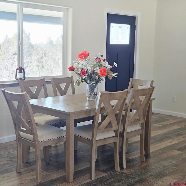 dining space featuring dark hardwood / wood-style flooring