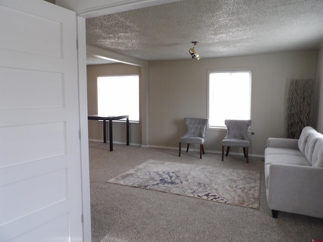 living room with carpet flooring and a textured ceiling