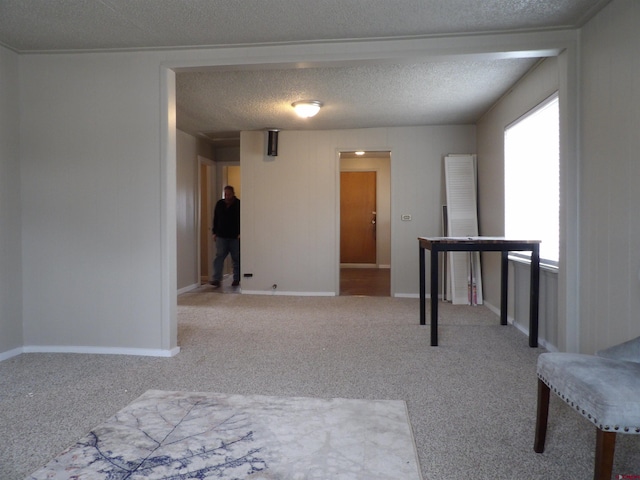 interior space featuring carpet and a textured ceiling