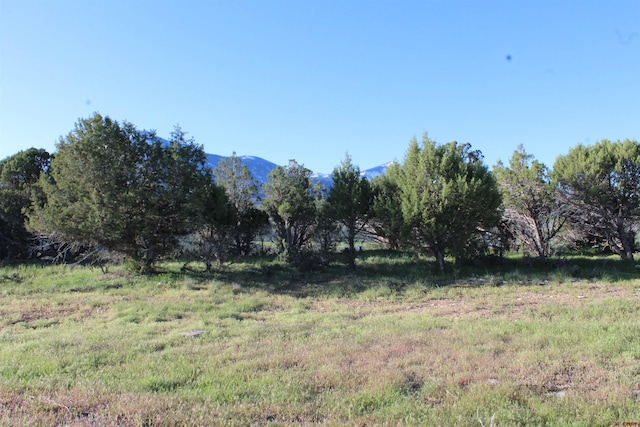 TBD Hidden Mesa Lane, Paonia CO, 81428 land for sale