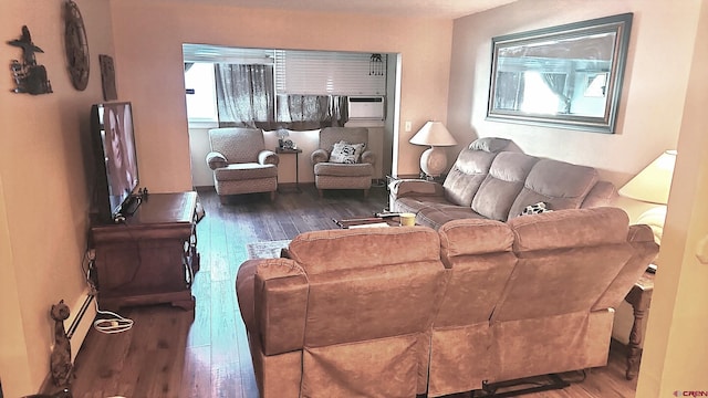 living room with dark hardwood / wood-style flooring