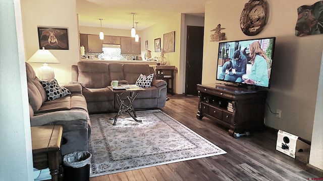 living room with dark hardwood / wood-style flooring