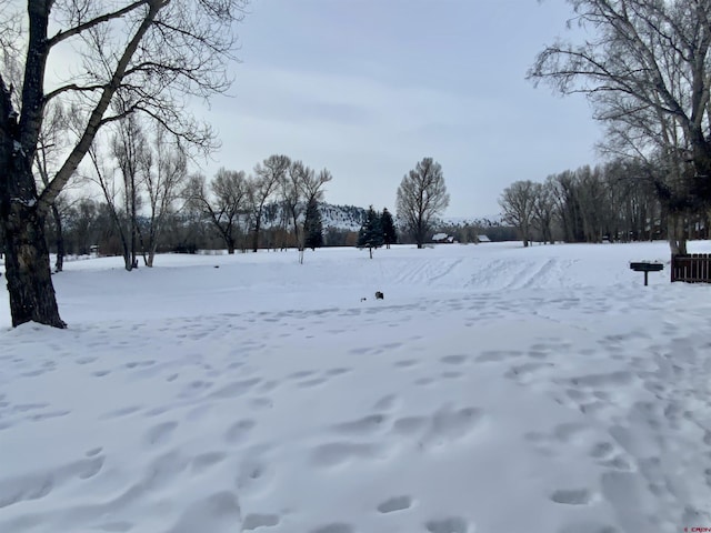 view of yard layered in snow