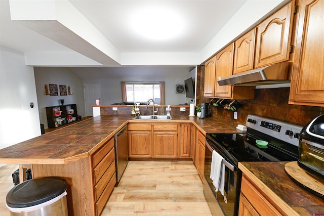 kitchen with sink, light hardwood / wood-style flooring, tasteful backsplash, kitchen peninsula, and stainless steel appliances