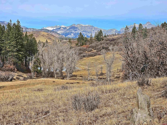 TBD Albert Place, Pagosa Springs CO, 81128 land for sale