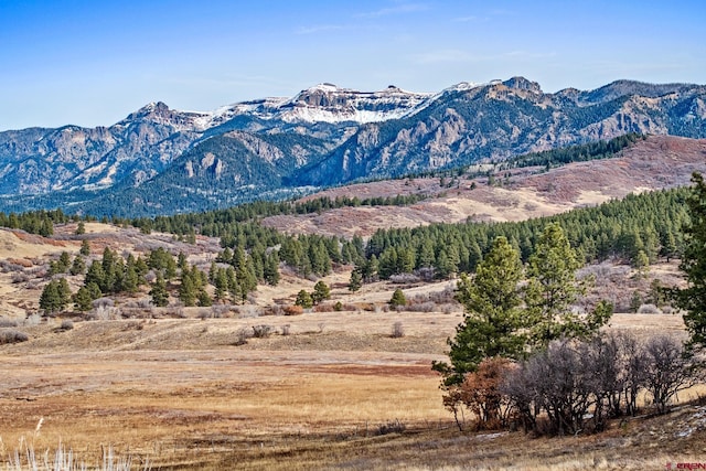 Listing photo 2 for TBD Albert Place, Pagosa Springs CO 81128