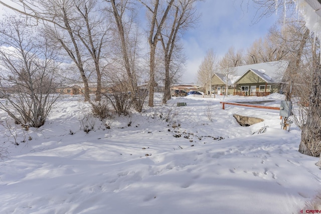 view of yard layered in snow