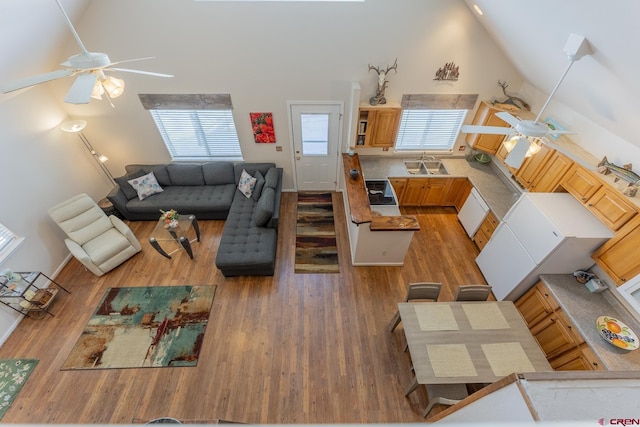 living room featuring ceiling fan, sink, high vaulted ceiling, and light hardwood / wood-style flooring