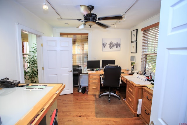 office space with ceiling fan, a healthy amount of sunlight, light hardwood / wood-style flooring, and track lighting