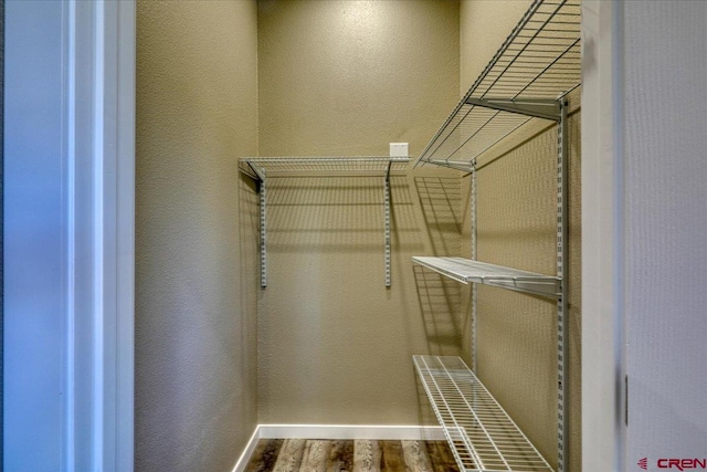 walk in closet with hardwood / wood-style flooring