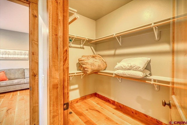 walk in closet featuring hardwood / wood-style flooring