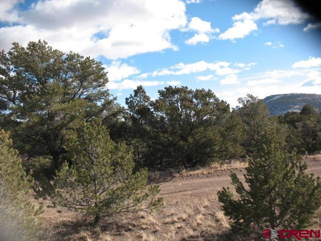 Listing photo 2 for 418 Rainbow Trl, South Fork CO 81154