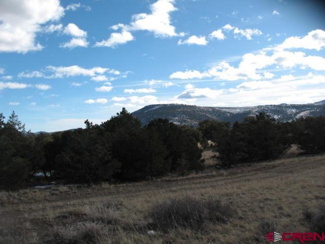 Listing photo 3 for 418 Rainbow Trl, South Fork CO 81154