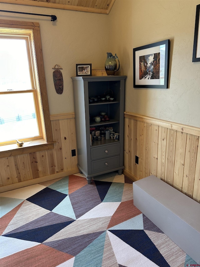 sitting room featuring carpet flooring, wood walls, and wood ceiling