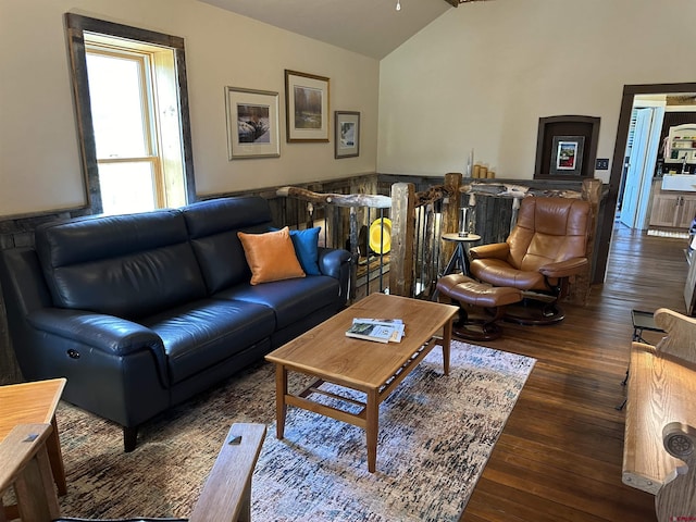 living room featuring lofted ceiling and dark wood-type flooring