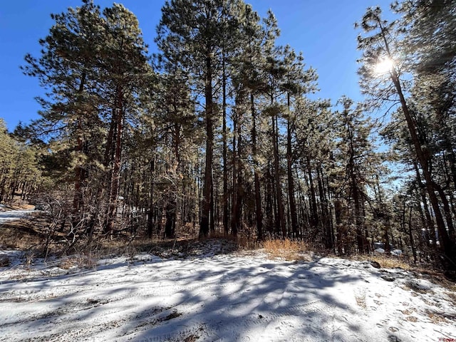 228 Timber Dr, Bayfield, CO 81122