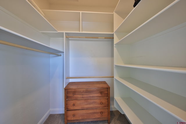 walk in closet featuring dark colored carpet