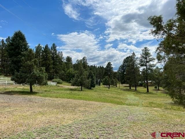 87 Ute Ln, Pagosa Springs CO, 81147 land for sale