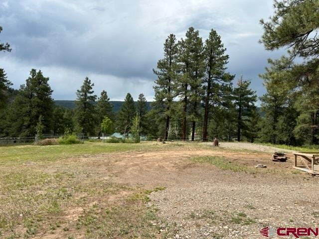 Listing photo 3 for 87 Ute Ln, Pagosa Springs CO 81147