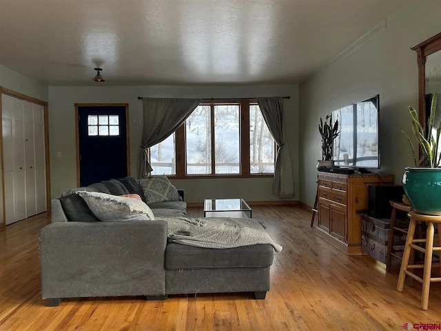 living room featuring light wood-type flooring