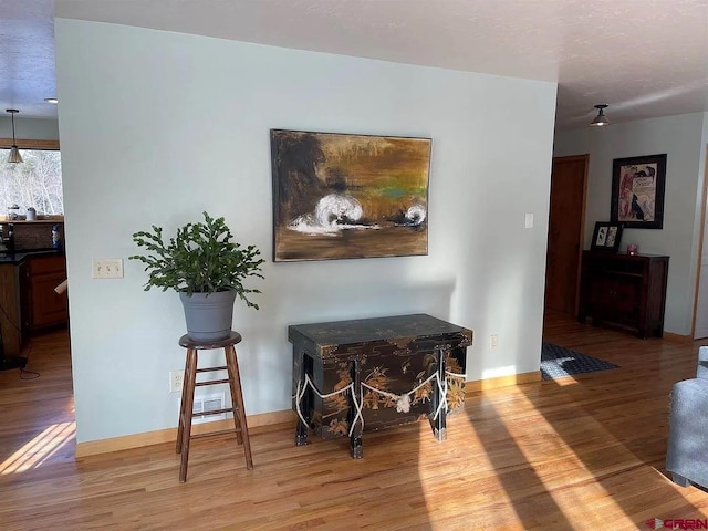 interior space with light hardwood / wood-style flooring