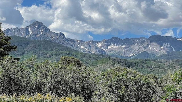 property view of mountains