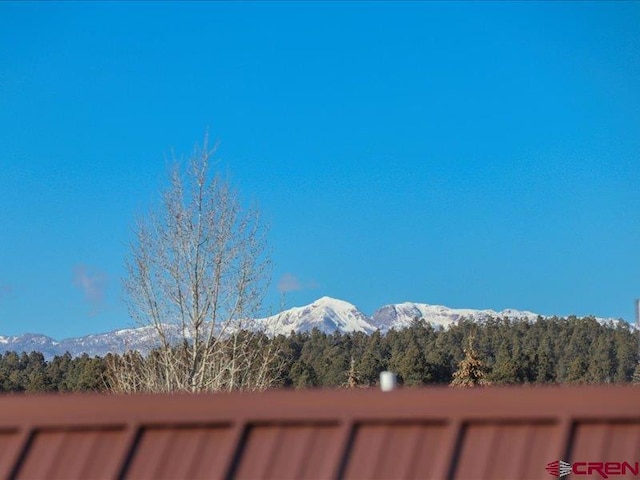 view of yard with a mountain view