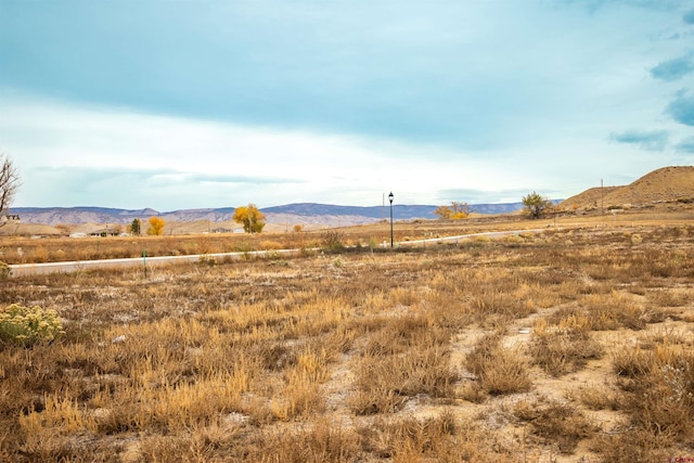 property view of mountains with a rural view