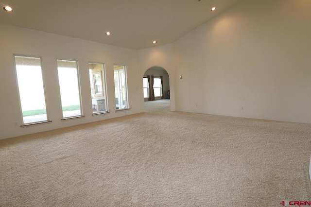 unfurnished room featuring light colored carpet and a healthy amount of sunlight