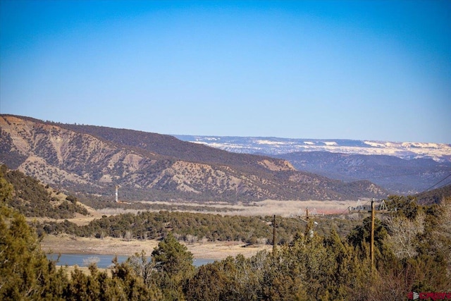 32 County Road 982, Arboles CO, 81121 land for sale