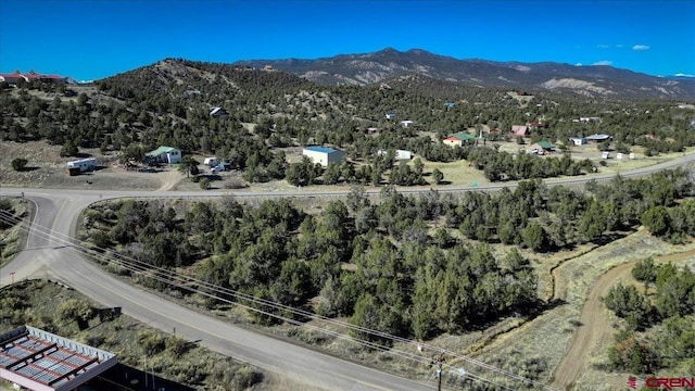 Listing photo 3 for 32 County Road 982, Arboles CO 81121