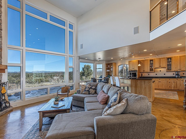 living room featuring a high ceiling