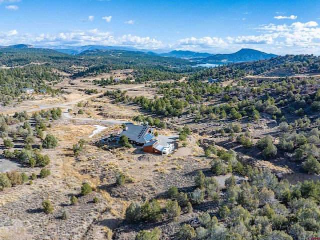 drone / aerial view with a mountain view