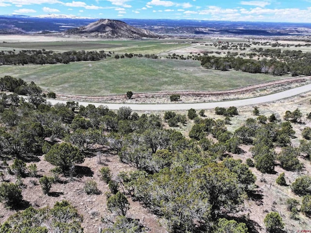 7250 7250 Rd Tbd Lot10, Montrose CO, 81403 land for sale