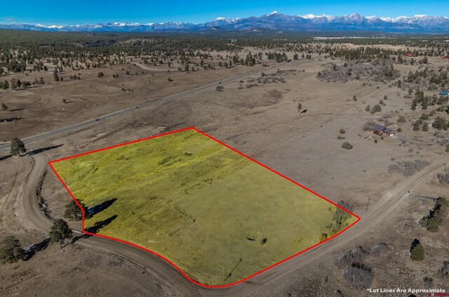 1233 Scenic Ave, Pagosa Springs CO, 81147 land for sale