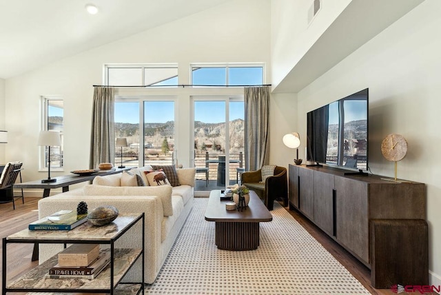 living area featuring high vaulted ceiling and wood finished floors