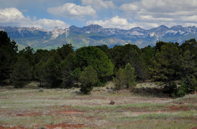 TBD Ponderosa Dr, Ridgway CO, 81432 land for sale