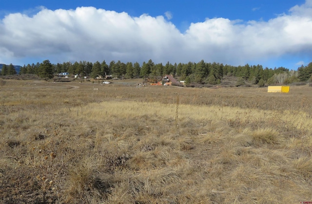 10883-10995 W US Highway 160, Pagosa Springs CO, 81147 land for sale